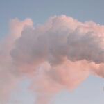 Environmental Damage