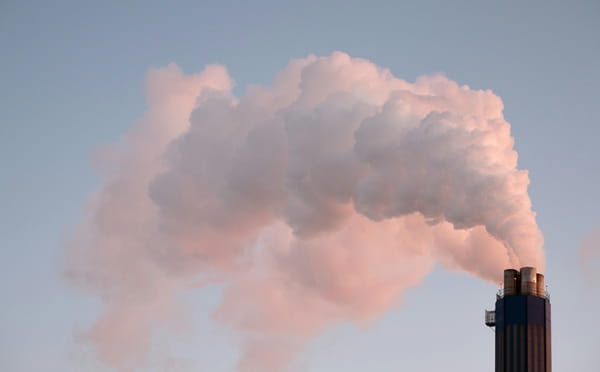 Environmental Damage