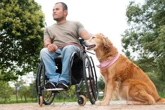Disability